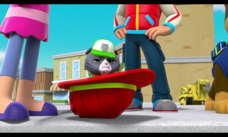 Image - Cat Rocky- Pups Save the Runaway Kitties- Wet.png | PAW Patrol Wiki | FANDOM powered by