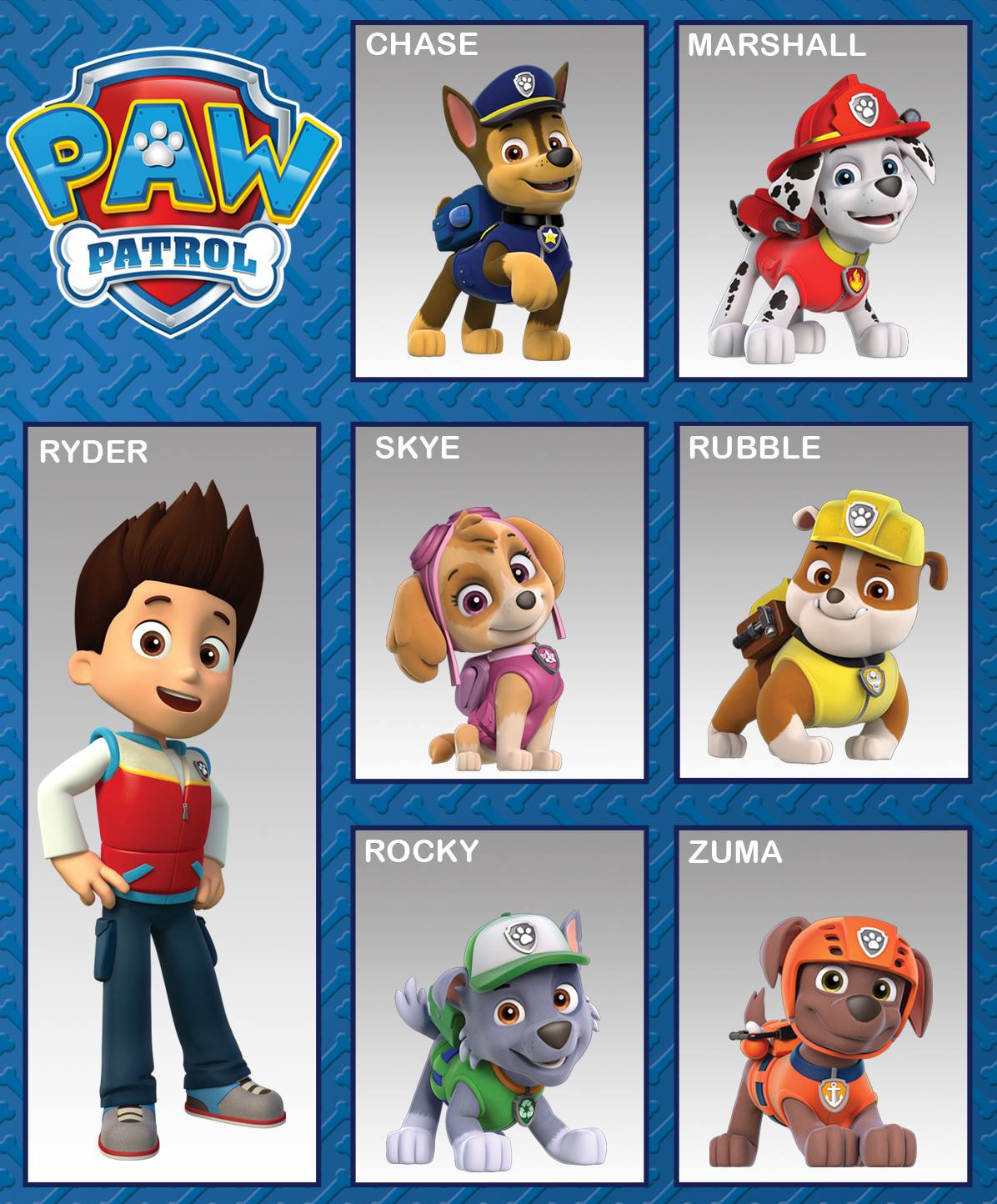 paw patrol characters names