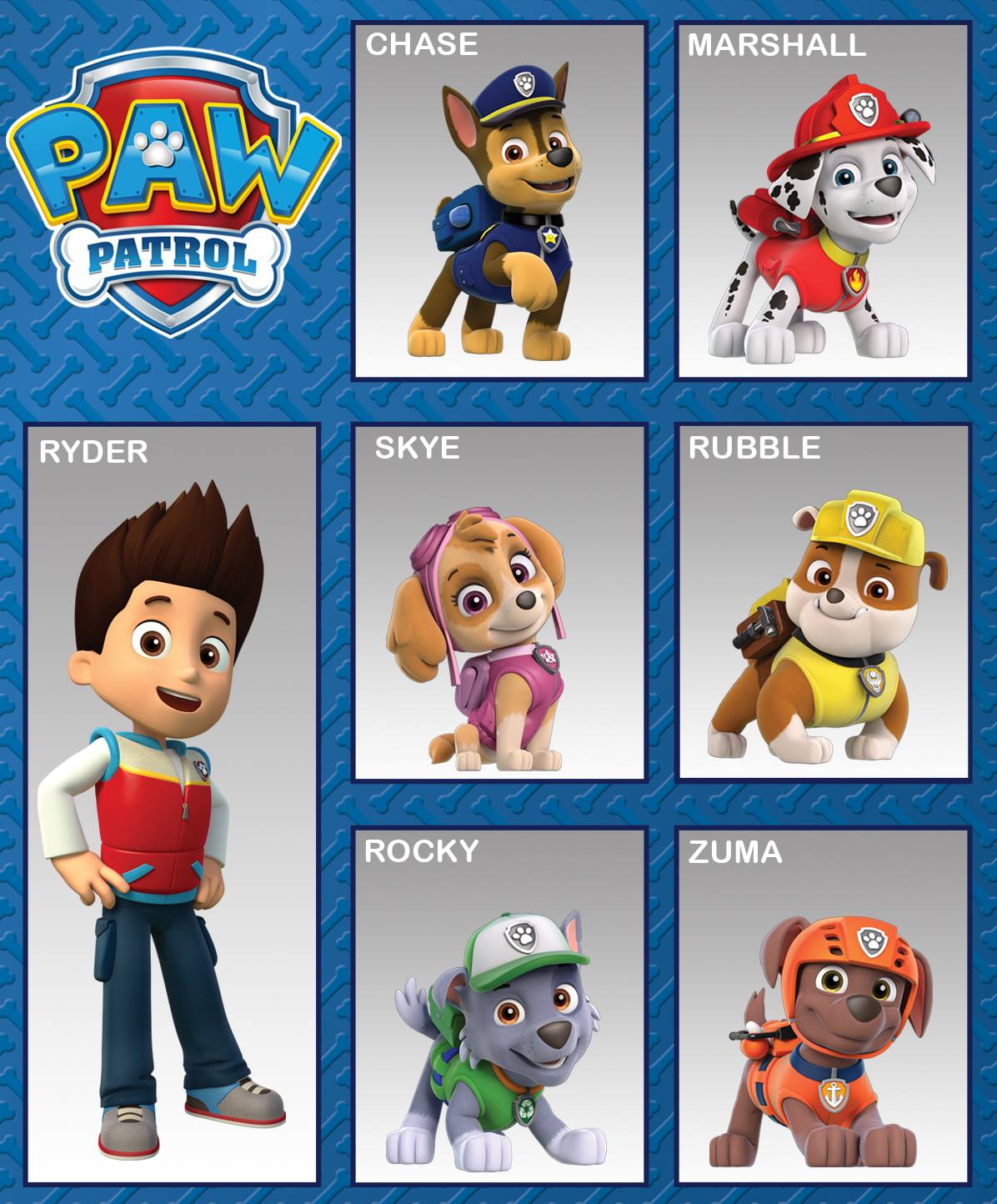 Paw Patrol List Of Characters - Design Talk