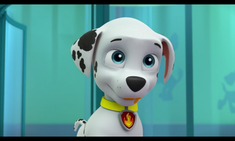Image - Marshall- Pups Chill Out- Blue eyes.png | PAW Patrol Wiki | FANDOM powered by Wikia