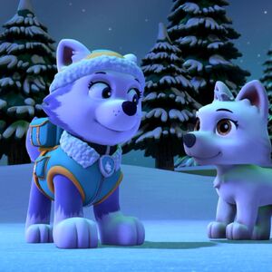 Everest Gallery Pups Save A White Wolf Paw Patrol Wiki Fandom