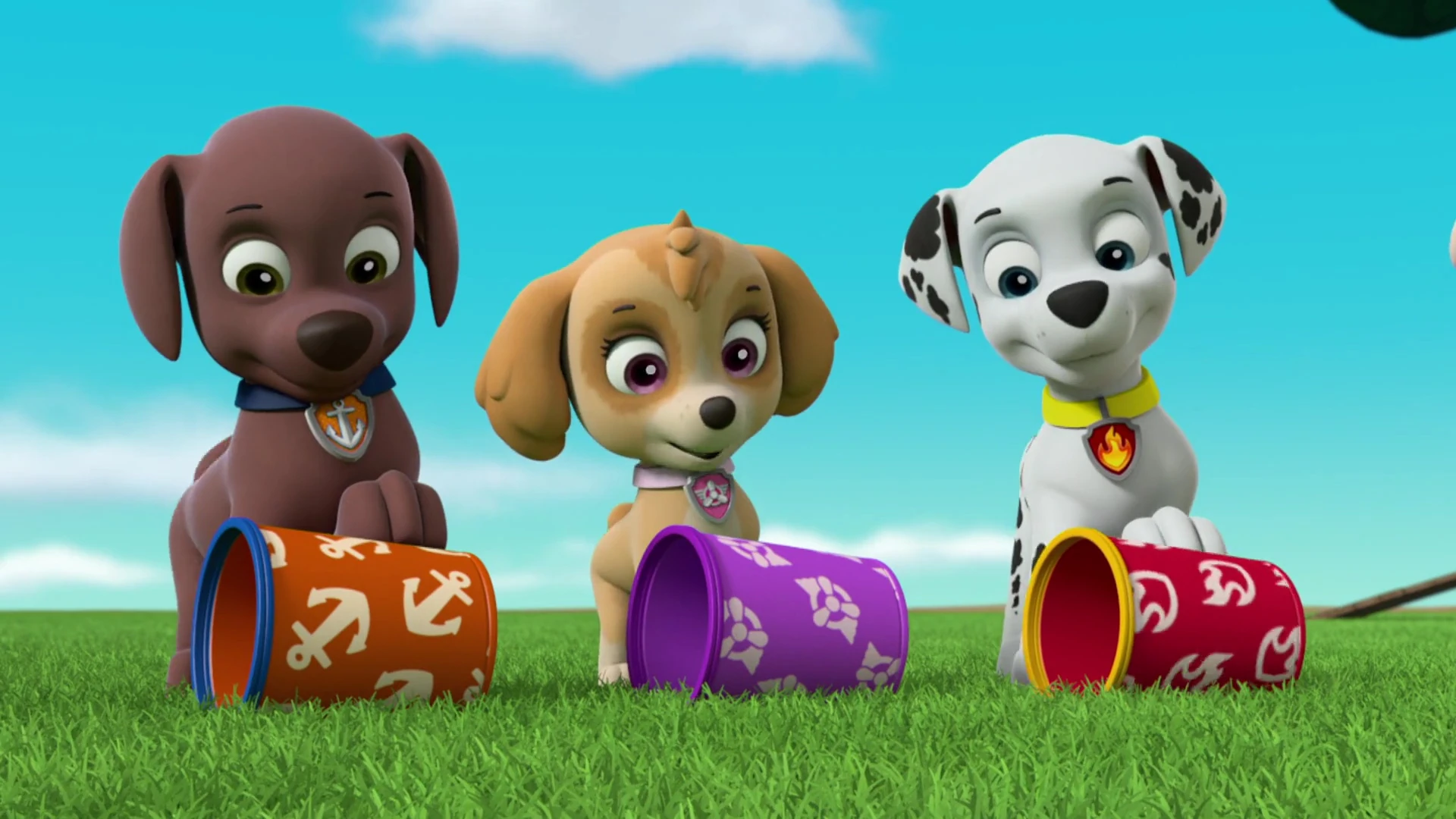 Zuma/Gallery/Pups Save a Manatee | PAW Patrol Wiki | Fandom