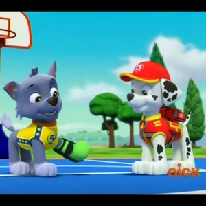 Rocky Gallery Pups Save A Basketball Game Paw Patrol Wiki Fandom