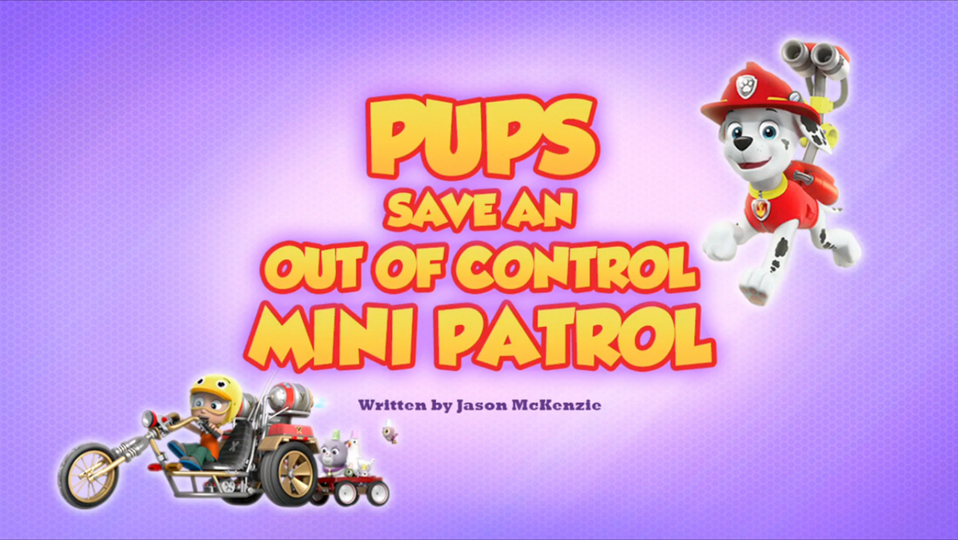 mini paw patroller