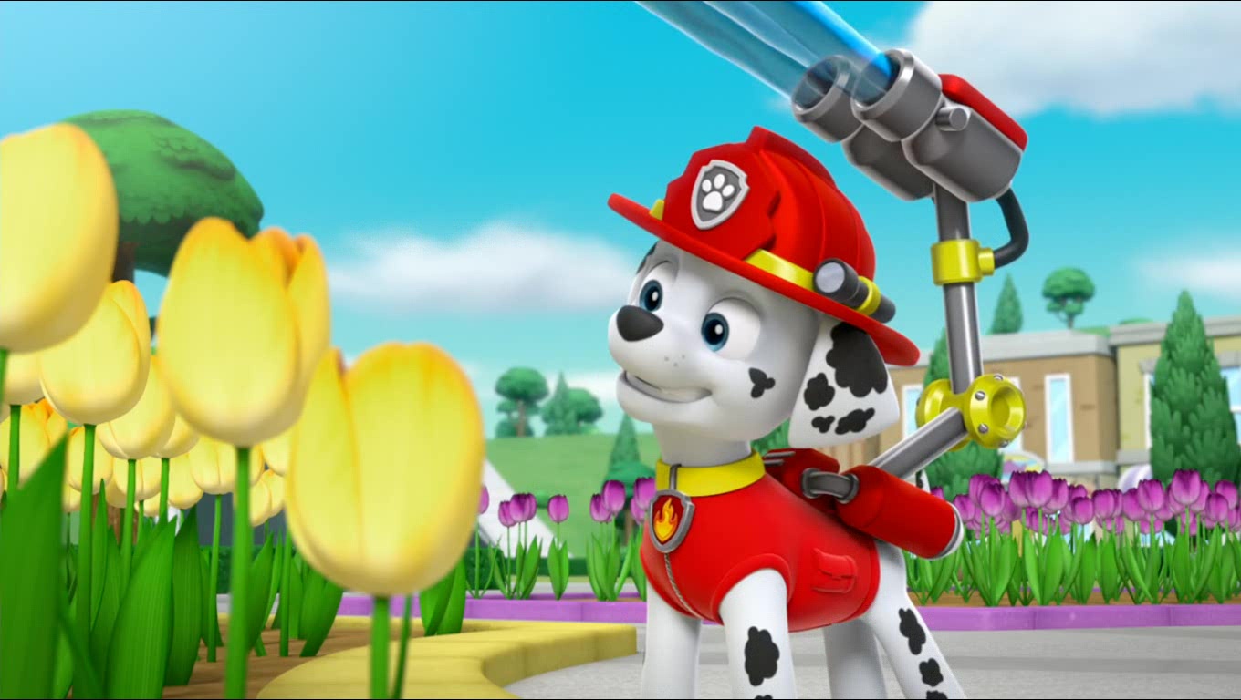 Marshall/Gallery/Pups Save the Kitty Rescue Crew | PAW Patrol Wiki | Fandom - Paw Patrol Pups Save The Kitty Rescue Crew