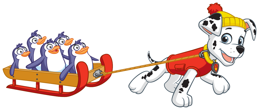 winter dog paw patrol