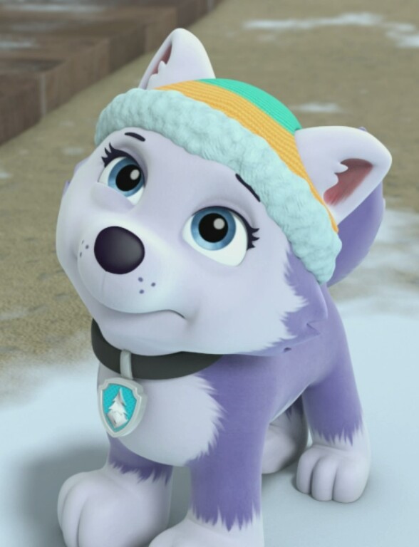 paw patrol everest in a coma