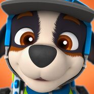 rex toy from paw patrol