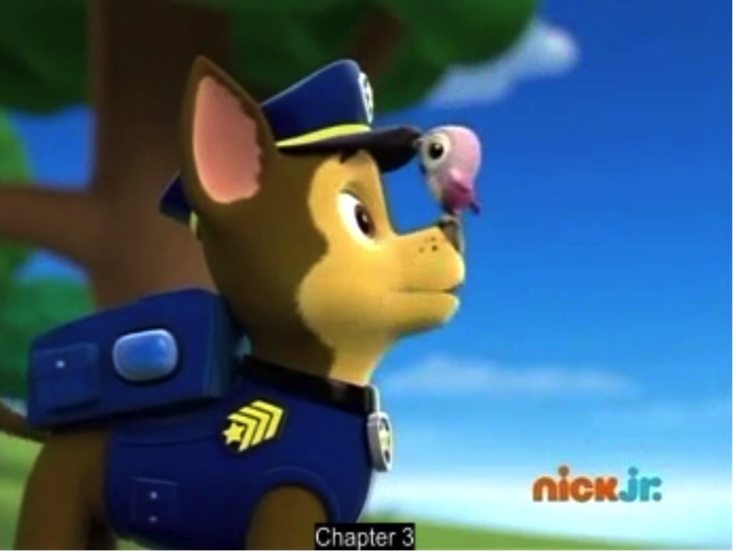 paw patrol pirate treasure