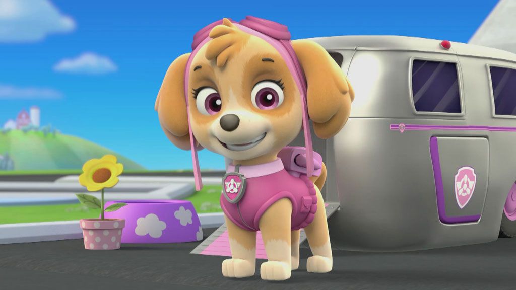 Image - Character-spot-meet-skye-16x9.jpg | PAW Patrol Wiki | FANDOM