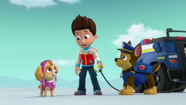 File:PAW.Patrol.S02E07.The.New.Pup.720p.WEBRip.x264.AAC 1092992.jpg