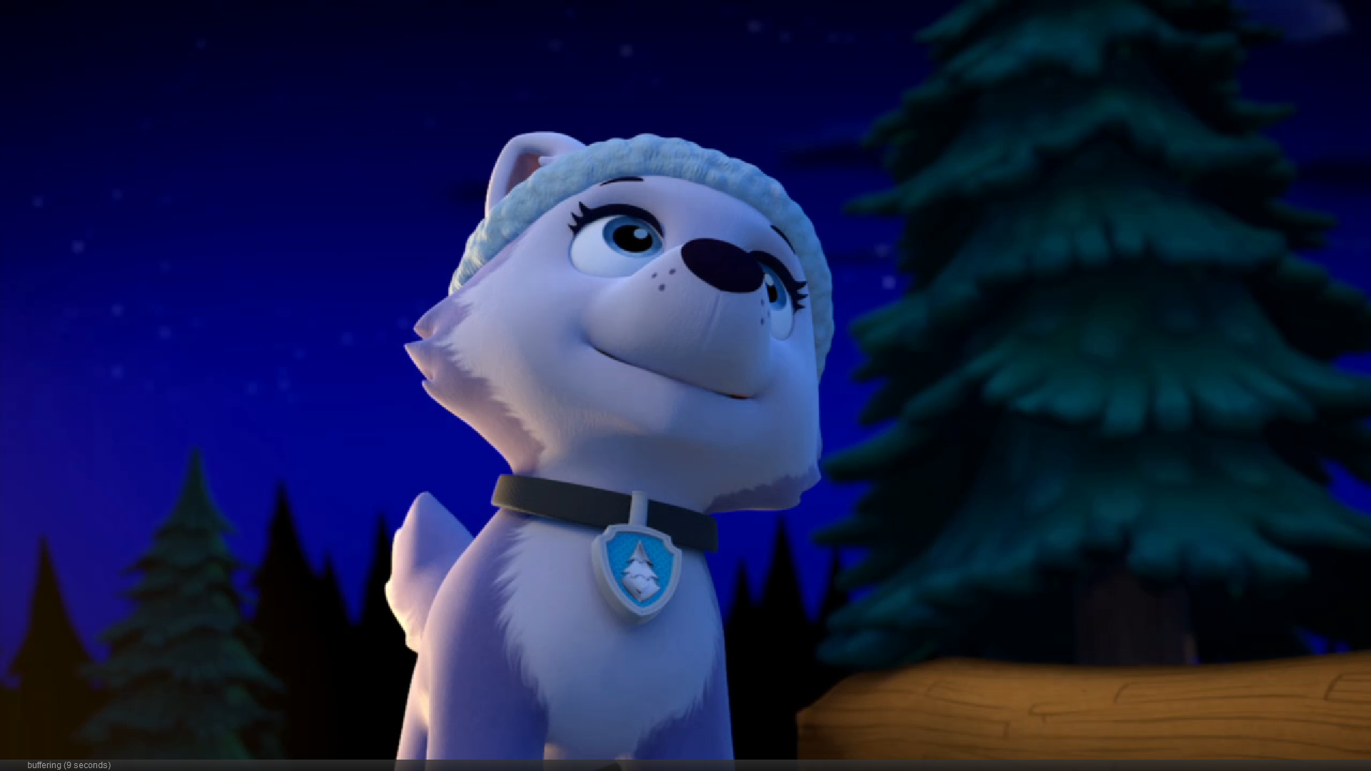 everest teddy paw patrol