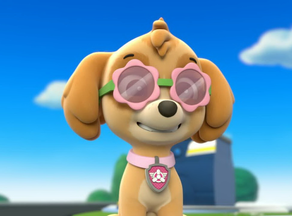 sky pup patrol