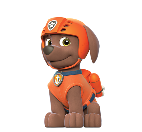 zoomer from paw patrol