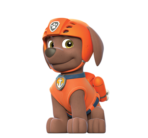 zoomer paw patrol