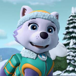 Everest Gallery Pups Save A White Wolf Paw Patrol Wiki Fandom
