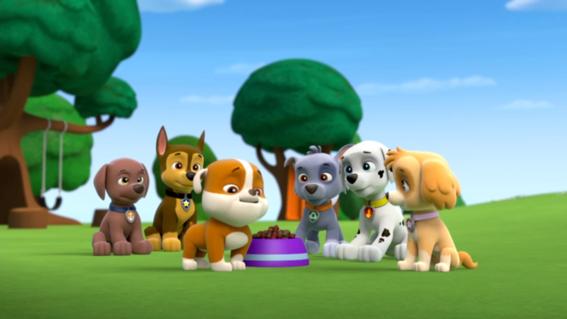 Pups Get a Rubble/Trivia | PAW Patrol Wiki | Fandom
