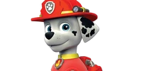 Image - Marshall PNG.png | PAW Patrol Wiki | FANDOM powered by Wikia