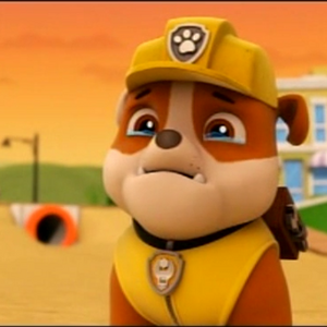paw patrol baby