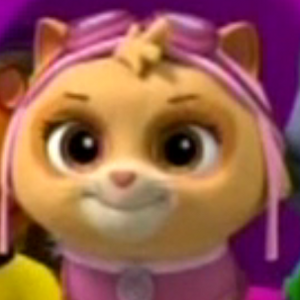 Cat Skye Gallery Paw Patrol Wiki Fandom