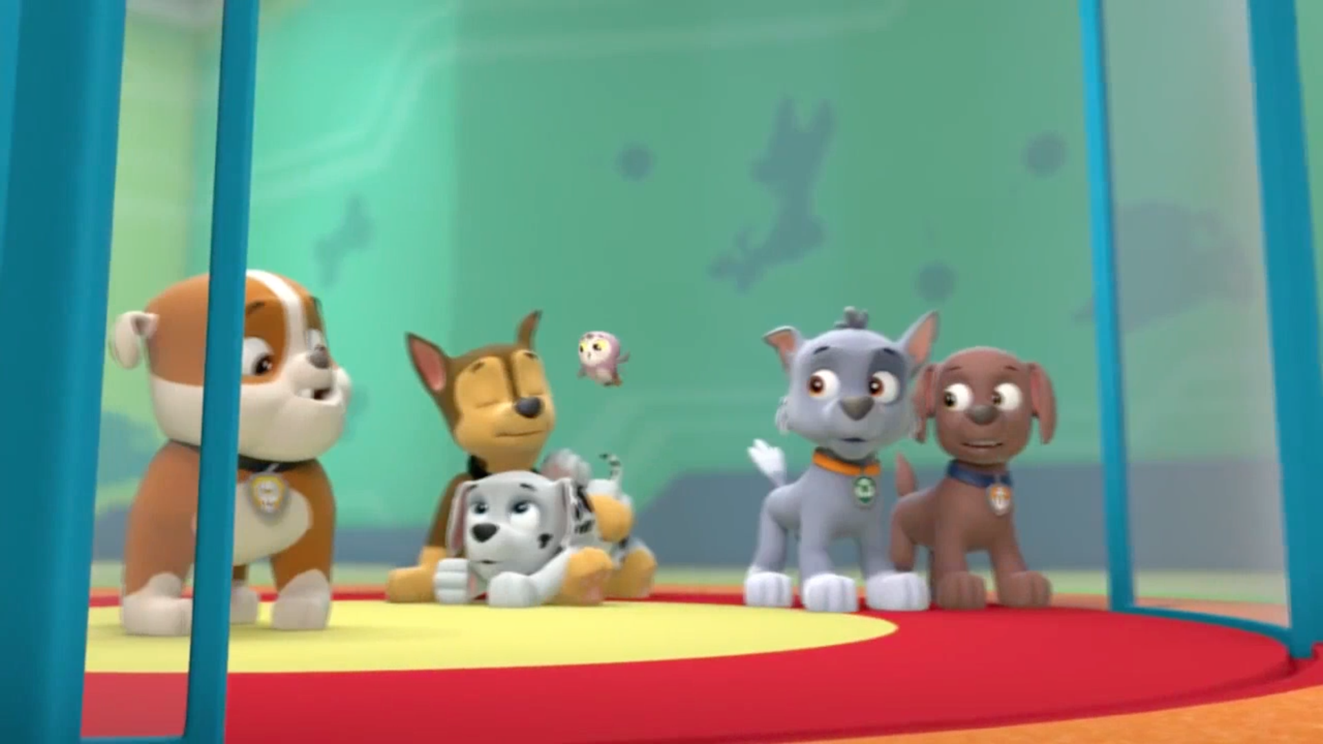 Zuma/Gallery/Pups Save a Hoot | PAW Patrol Wiki | Fandom