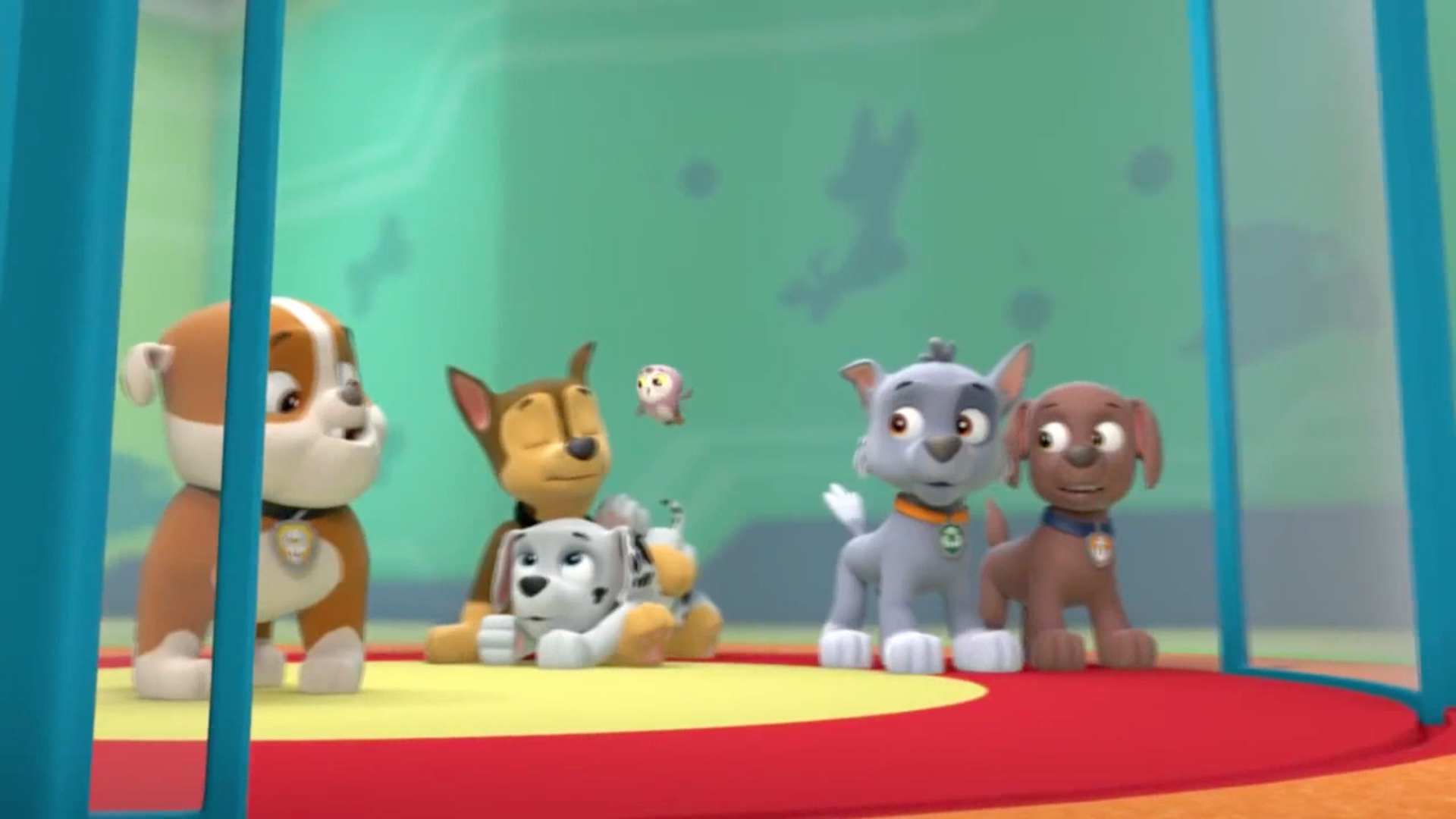 Zumagallerypups Save A Hoot Paw Patrol Wiki Fandom 