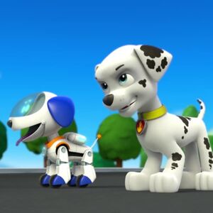 marshall robot dog
