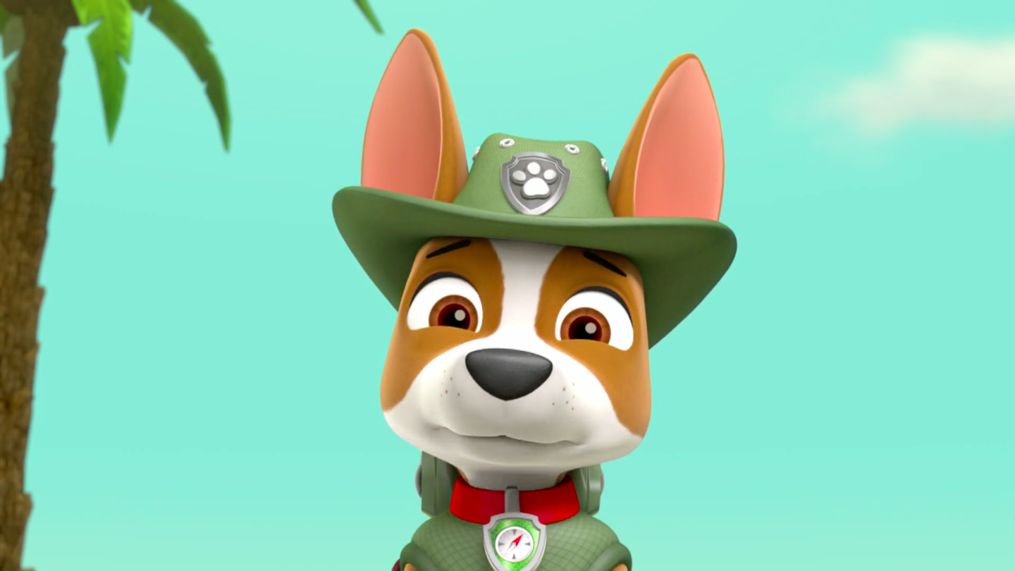 tracker and vehicle paw patrol