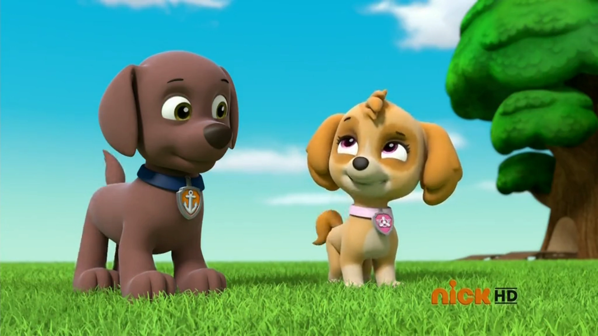 From Skye To Zuma Discover The World Of Paw Patrol Deep Dive On All The Names - 500hkzh