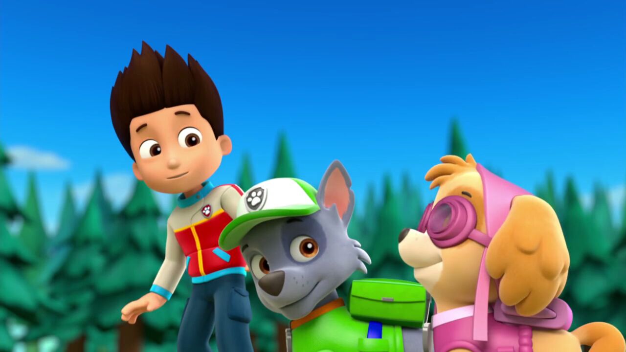 paw patrol pirate treasure