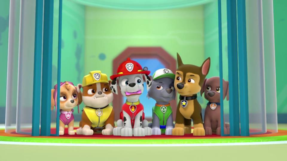 paw patrol live at home