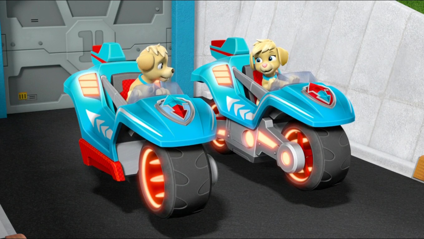 paw patrol twins names paw patrol twins names