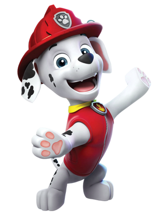 paw patrol paw patrol marshall