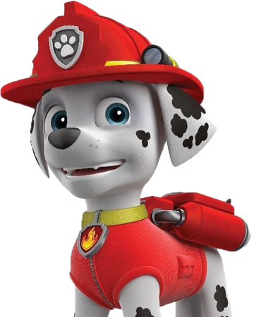 Marshall Paw Patrol Wiki Fandom
