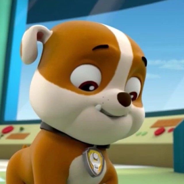 paw patrol rubble