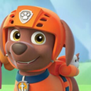zoomer paw patrol