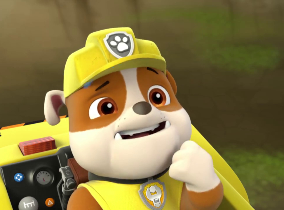 paw patrol showing