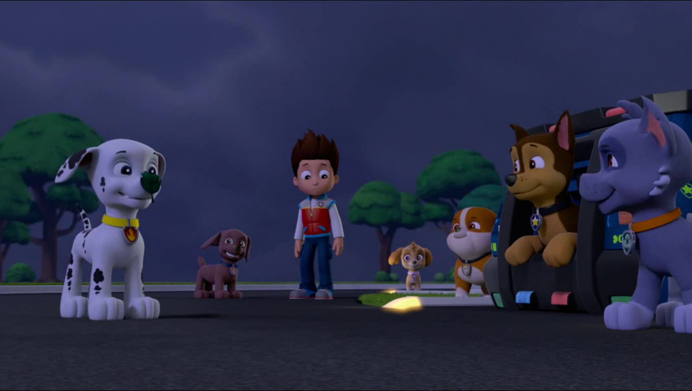 Chase/Gallery/Pups Save a High-Flying Skye PAW Patrol Wiki FANDOM.