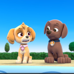 paw patrol pool day
