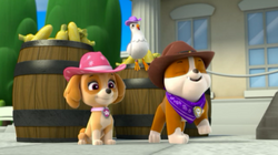 Pups Save a Hoedown/Trivia | PAW Patrol Wiki | FANDOM powered by Wikia