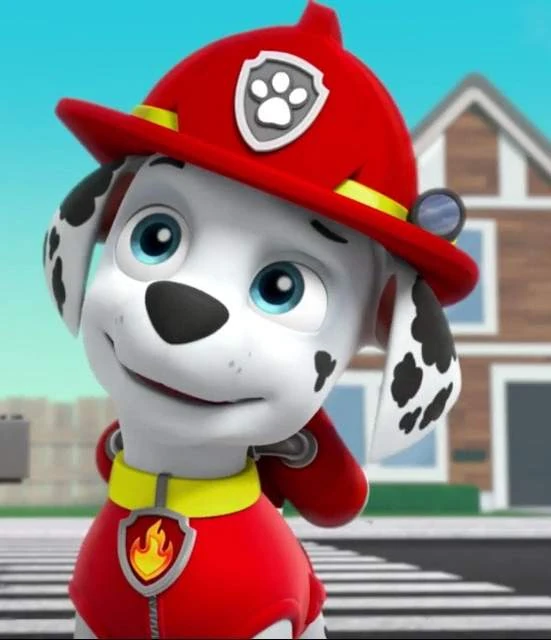 Marshall Paw Patrol Wiki Marshall Paw Patrol Face