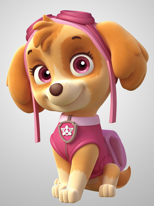 SkyeAppearances PAW Patrol Wiki Fandom