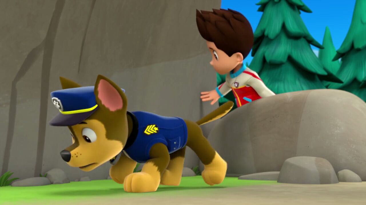 paw patrol pirate treasure