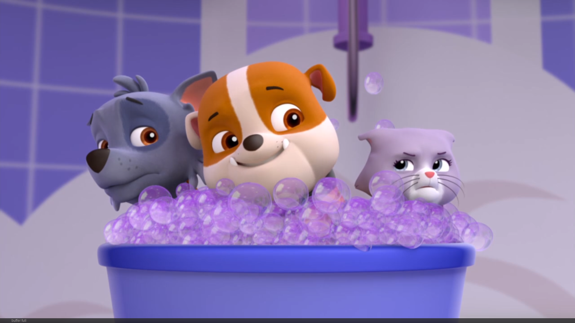 light blue paw patrol dog