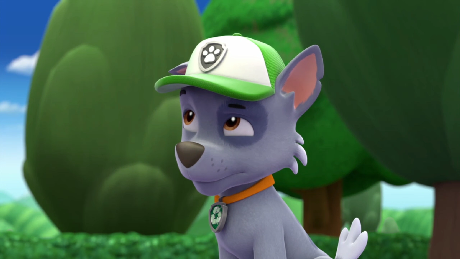Image - Pp882.png | PAW Patrol Wiki | FANDOM powered by Wikia