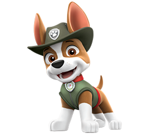 tracker paw patrol jungle rescue