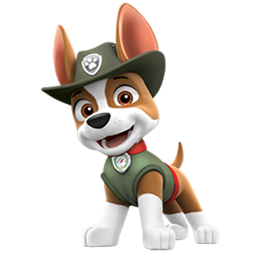 paw patrol jungle characters