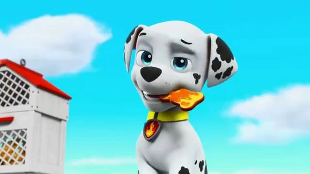 Pups Save the Queen Bee/Gallery | PAW Patrol Wiki | FANDOM powered by Wikia