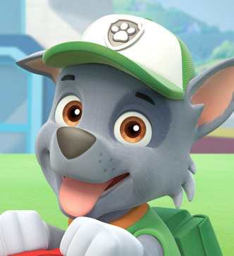 image character large rocky jpg paw patrol wiki fandom powered