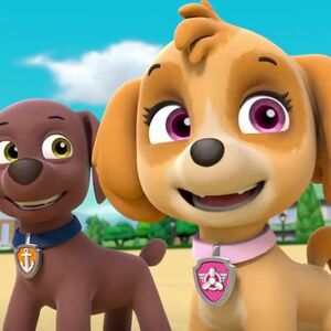 Zuma Gallery Air Pups Paw Patrol Wiki Fandom